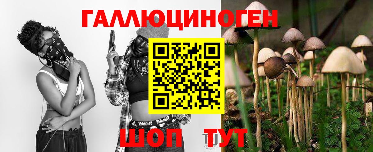 Зеленокумск  Псилоцибиновые грибы Psilocybine cubensis  Псилоцибиновые грибы Magic Shrooms  Вход с VPN 