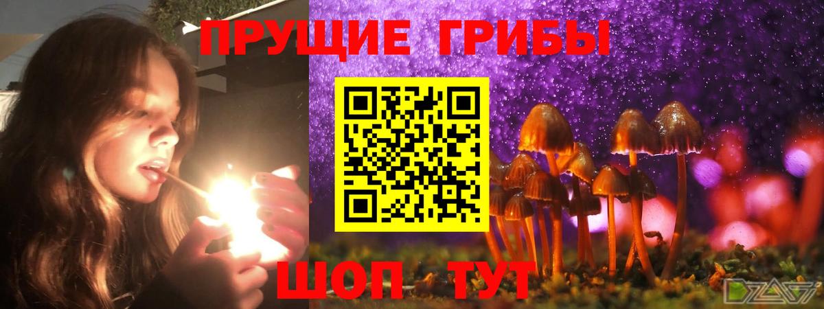 Псилоцибиновые грибы GOLDEN TEACHER Зеленокумск