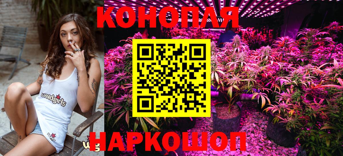 Марихуана гибрид Зеленокумск